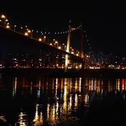 阿基米德的蜗牛的个人资料头像