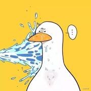 咦醉了的个人资料头像