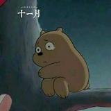 番茄108794681408头像