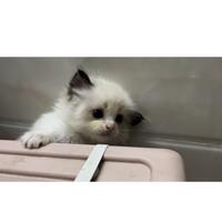 用户5295572309765头像