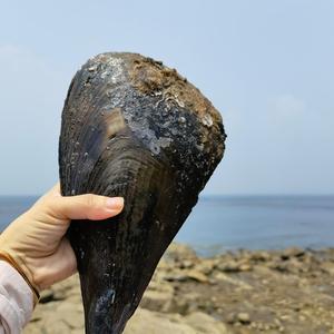 人到中年头像