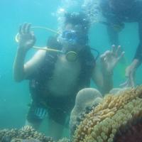 淡泊的漂流瓶I1头像