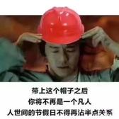 恭迎喵喵公举头像