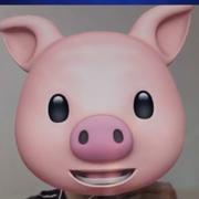 Iceberg的个人资料头像