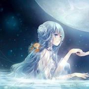 天山乌的个人资料头像