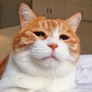 UPC_yic的个人资料头像