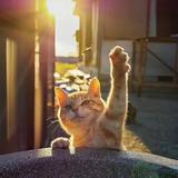 用户627119498880头像