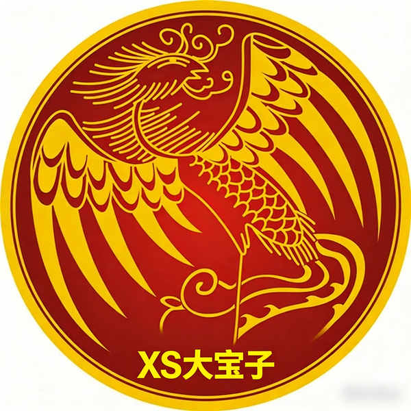 XS大宝子头像