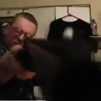 用户叫木有头像