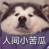 他本有心头像