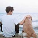 凉生的个人资料头像