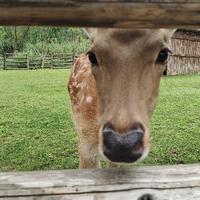 活泼星空ksM头像