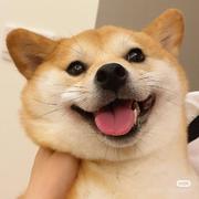 用户6937285938637的个人资料头像