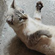 随地大小板的个人资料头像