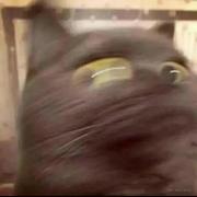 30jammy的个人资料头像