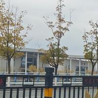 正能量圆月IwF头像