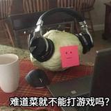 用户9129705239900头像