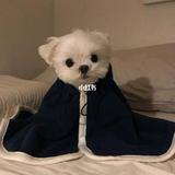 蛋蛋看生活头像