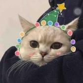 花竒头像