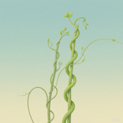 渐青木的个人资料头像