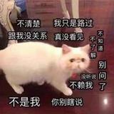 爱生活的豆花v4L头像