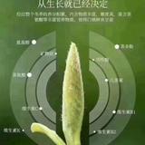 用户9631153979711头像