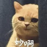 清凋木头像