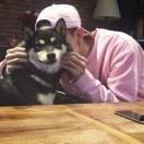 刘凯本尊的个人资料头像