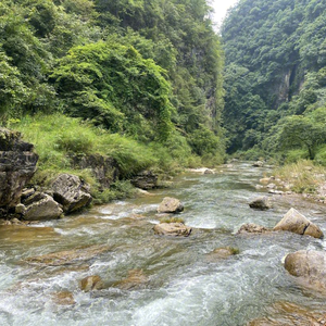 游钓百川头像