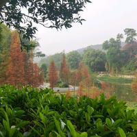 船哥哥头像