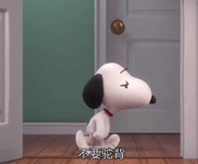 远方12的个人资料头像