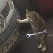 不知_所云的个人资料头像