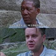 我写我写我写我写的个人资料头像