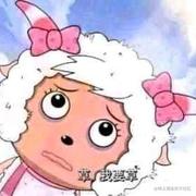 a小中路封烟的个人资料头像