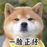 吾十有五头像