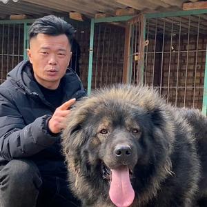 养犬的李哥头像