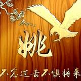 姚向阳头像