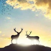 黄海之滨的个人资料头像