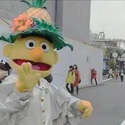 初白时的个人资料头像