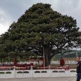 雨果jinbao头像