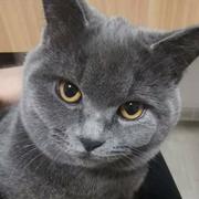 飞飞968的个人资料头像