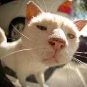 bigzhuzhu的个人资料头像