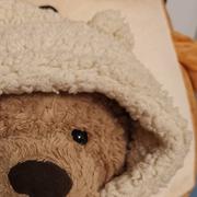 布偶的个人资料头像