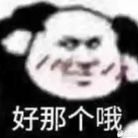 咣咣哟哟嘿喂狗头像