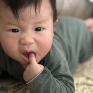 简简同学头像