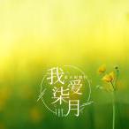 Mrtao233的个人资料头像