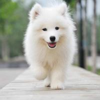 Sunshineman6751头像