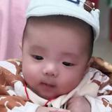 草人辛头像