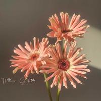 智能科技车头像