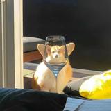 落笔不成熟头像